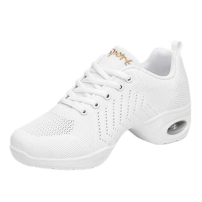 Atmungsaktive Mesh-Tanzsneaker – Women'S Zumba Shoes Bewertung und Preis